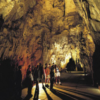 Waitomo Glow Worm Caves and Rotorua Overnight Tour from Auckland (2 days/1 night)