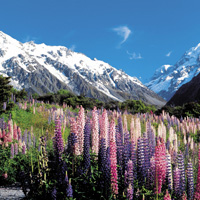 Queenstown, Mount Cook, and Christchurch Full-Day Tour