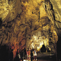 Waitomo Glow Worm Caves and Rotorua Day Tour from Auckland