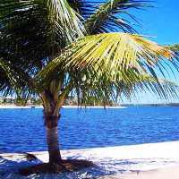 Schooner Through Salvador Islands - Ilha dos Frades and Itaparica