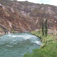 River Rafting the Mendoza Rapids