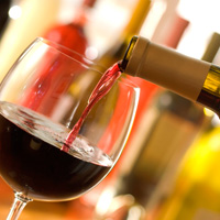 Half-Day Mendoza Wine Country Experience