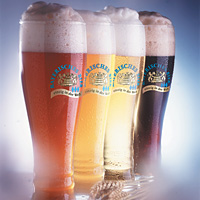 Paulaner Brewery Tour