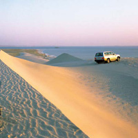 Dunes Discovery Tour