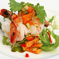 Rainforest Dining Experience