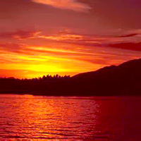 Harbour Dinner Cruise