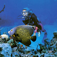 Half Day Resort Scuba Course