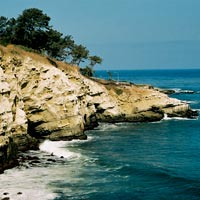 La Jolla Sea Caves Tour