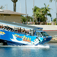 San Diego Seals