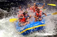 American River Rafting with Wine Tasting (Petroleum-Free Tour)