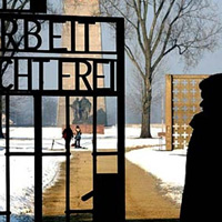 Full-Day Excursions from Berlin - Choose from 3 Options