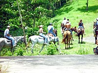 Horseback Beach Ride & Swim