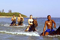 Chukka Horseback Caribbean Adventures from Ocho Rios