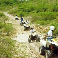 ATV Safari