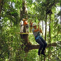 The Original Canopy Tour from Montego Bay