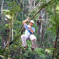 The Original Canopy Tour from Ocho Rios