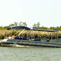 Black River Safari from Ocho Rios