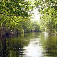 Martha Brae River Rafting