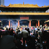 Half-Day Kowloon and New Territories Tour