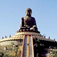 Lantau Island Sightseeing Tour