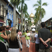 Sultans of Spice: Singapore Cultural Tour