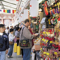 Tokyo Afternoon Tour