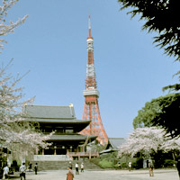 Tokyo Morning Tour