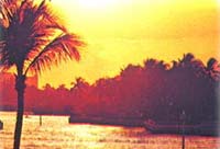 Jungle Queen Riverboat Dinner Cruise