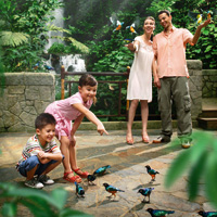 Jurong Bird Park Admission