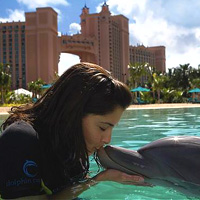 Shallow-Water Interaction at Dolphin Cay