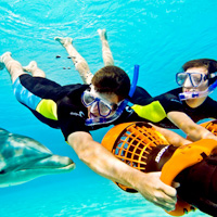 Deep-Water Swim at Dolphin Cay