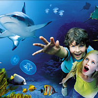 SEA LIFE Aquarium Arizona
