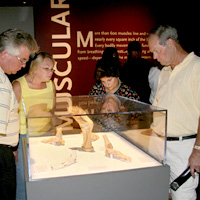 Bodies: The Exhibition