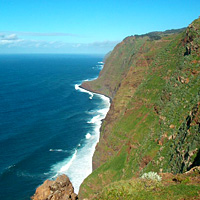 Full-day Bird Watching Tour