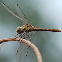 Fauna and Flora Tour