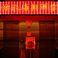 Private Half-Day Photo Tour of Hong Kong