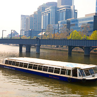 Melbourne City and Williamstown Ferry Cruise