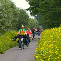 Mike's Bike Tours Around Amsterdam - Choose from 2 Tours