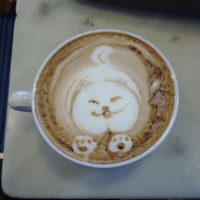 Mokaflor Espresso Academy: Espresso and Cappuccino Course and Tour