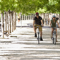 See Montreal By Bike