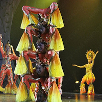 Chinese Acrobatics Evening Show