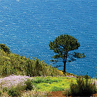 Calheta Levada Walk