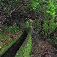 Rabacal Valley Excursion
