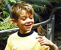 The Niagara Parks Butterfly Conservatory