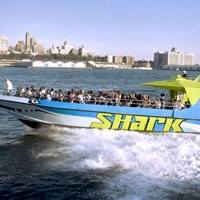 Shark Speedboat Thrill Ride