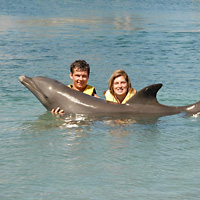 Royal Dolphin Swim at Ocean World with Lunch