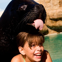 Sea Lion Encounter at Ocean World Adventure Park