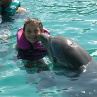 Dolphin Swim at Ocean World Adventure Park