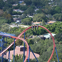 Busch Gardens and Alafia River Helicopter Tour