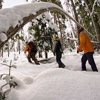 Snowshoe Adventures